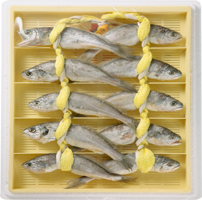 [프리미엄등급] 촉촉하고 고소한 영광굴비 정성 신선 선물포장 구이, 1개, 국내산 영광 굴비 대 1.3kg 20미(선물포장)