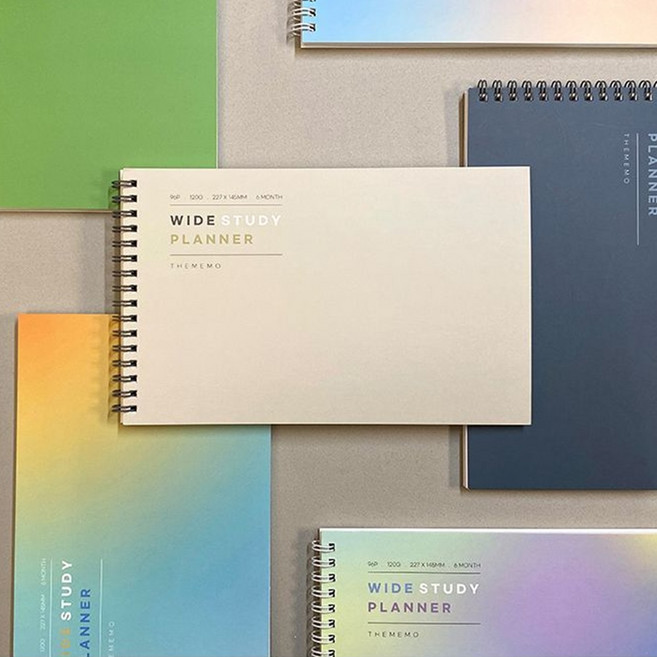 주간 학습 한달 데일리 공부 계획표 고등학교 대학생 위클리 6개월 공시생 스터디 플래너, 더메모와이드 오로라