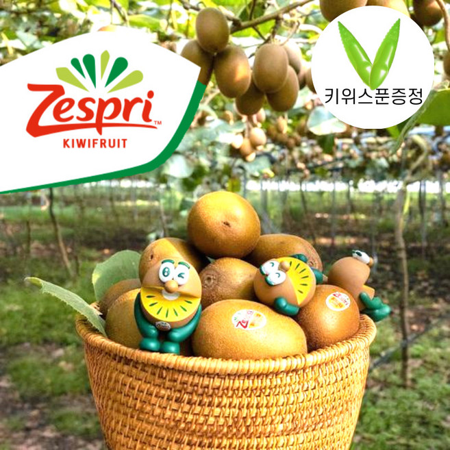 [제스프리]뉴질랜드 고당도 골드키위 /특점보과-개당180g내외/당도보장, 14과(2.6kg내외), 1개