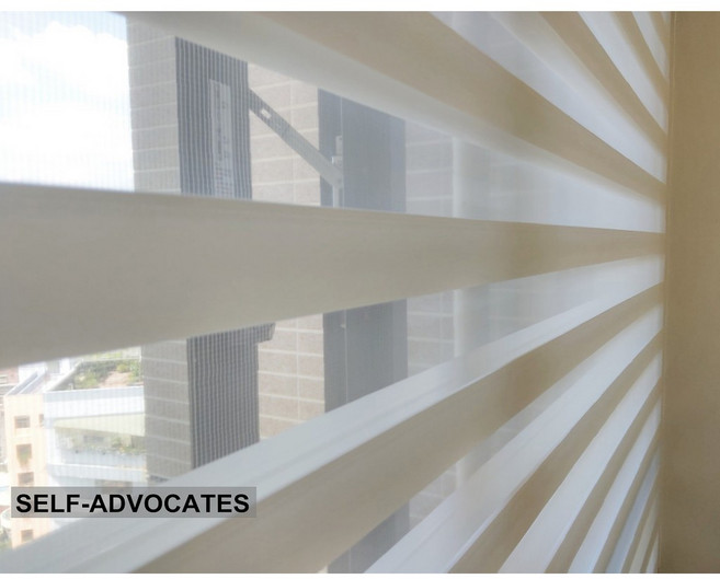 自我主張窗簾坊 索蘿絲柔紗百葉窗簾, 詳見包裝