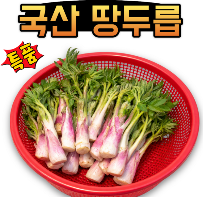 (특품) 제철특가 국내산 향이 진한 남해 땅두릅 봄나물, 1개, 500g