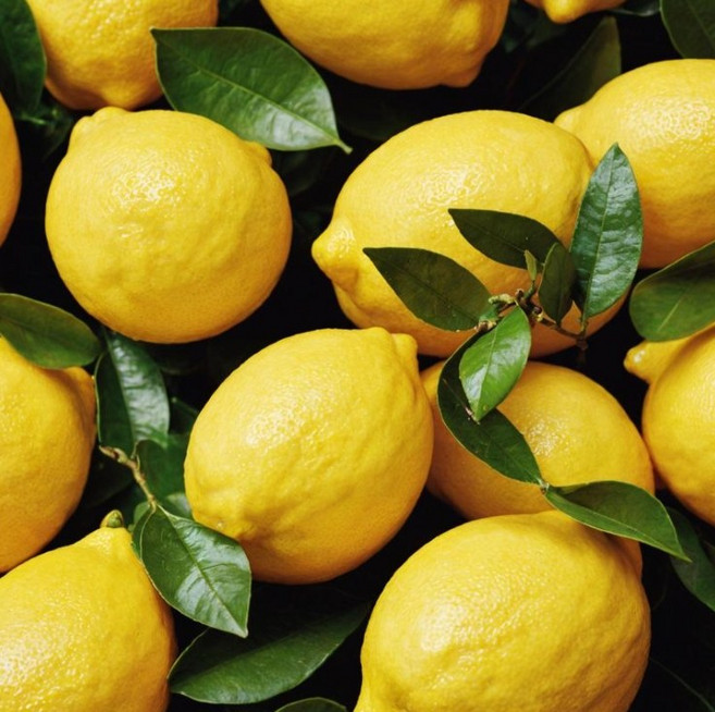 항공직송 프리미엄 신선한 칠레산 레몬, 2kg