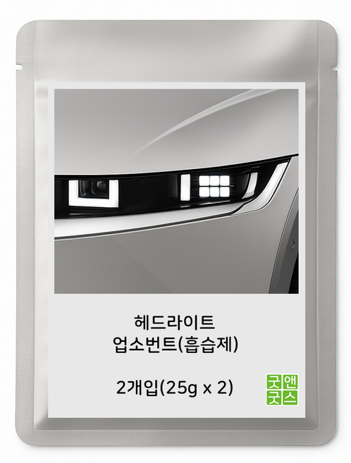 굿앤굿스 습기제거제 모이스처 업소번트 차량용제습제 흡습제, 2개입, 기아, 현대기아공용