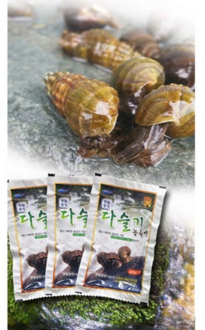 국산 다슬기 강원도 영월 동강 자연산 깐 생 다슬기 올갱이, 80개, 2-4.농축액80포세트