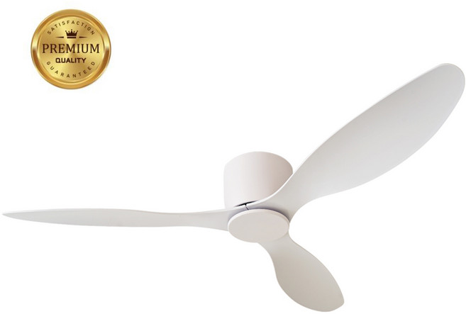 로슬러 프라임R 실링팬 거실 안방 천정 52인치 화이트 선풍기, 애쉬, 프라임R 42인치
