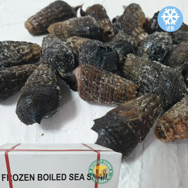 자숙 갯고동 다슬기, 10개, 1kg