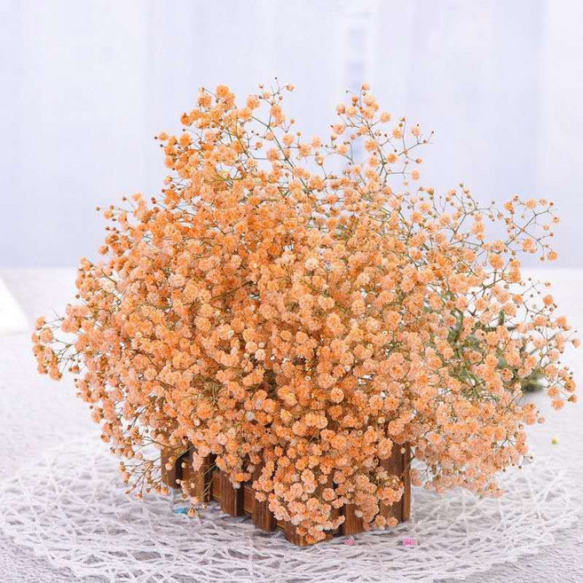 滿天星乾燥花束 永生花 客廳擺飾 生日禮物 多色家居裝飾 無需澆水, 橙色滿天星-【爆款推薦】