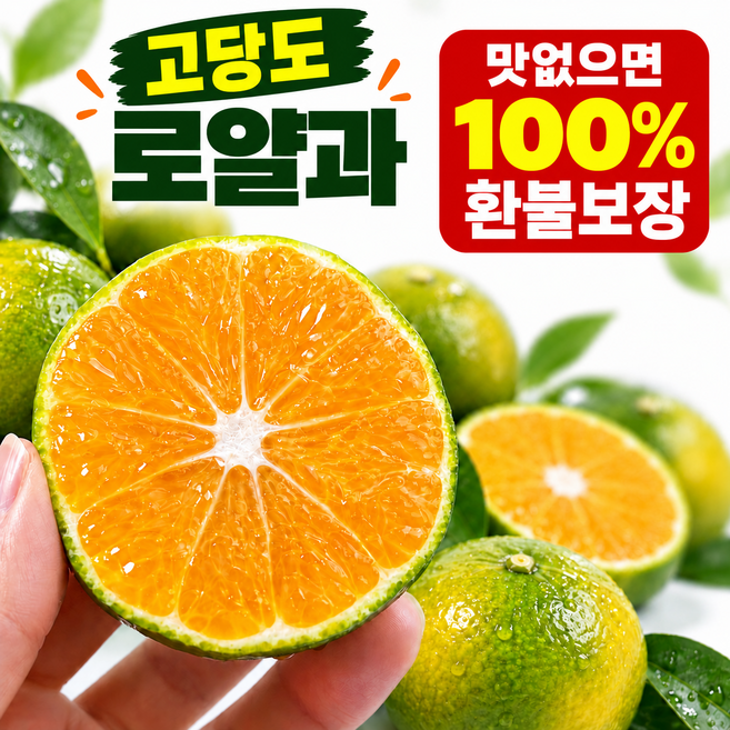 [로얄과 ][한정특가] 특품 제주 노지감귤, 1박스, 로얄과 x 5kg(강력추천)