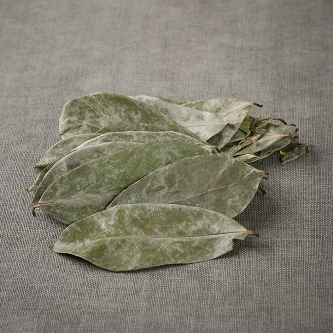 그라비올라 100g 건 잎 차, 1317_그라비올라 100g, 1개