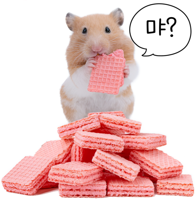 햄스터간식 사과 웨하스 이갈이 골든햄스터 간식 이갈이 먹이 사료 밥, 1세트, 18개