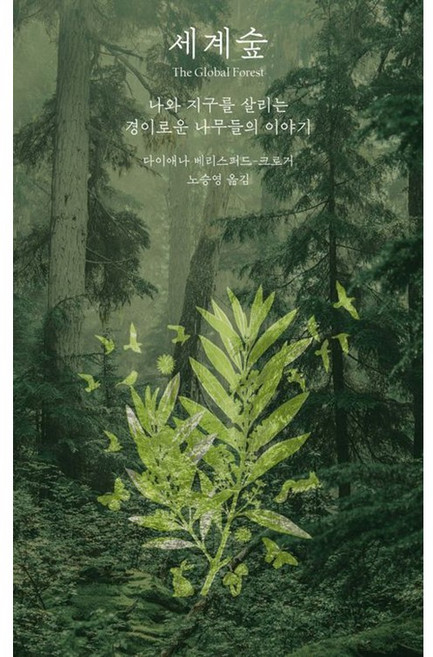 세계숲 (이엔제이 전용 사 은 품 증 정)