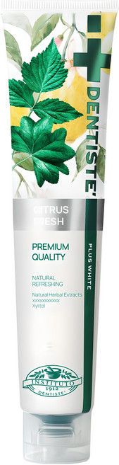 덴티스테 시트러스 후레쉬 치약, 200g, 1개