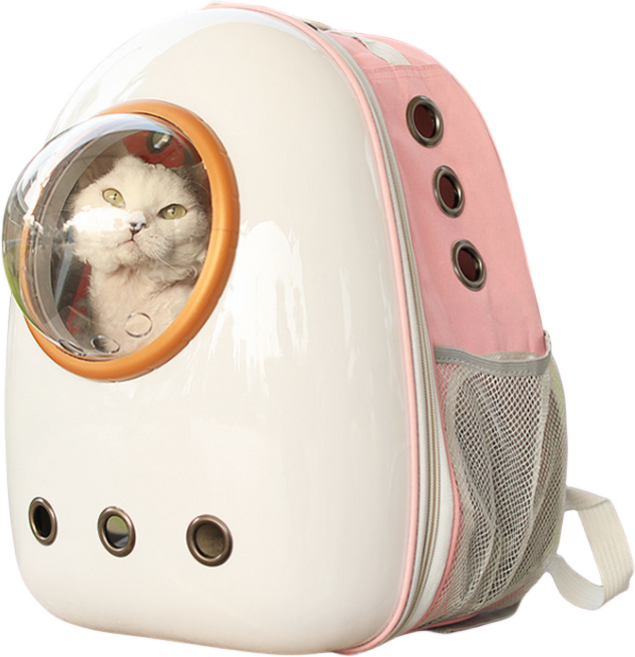 투명 배낭형 강아지 고양이 이동 가방강아지산책가방, 1개