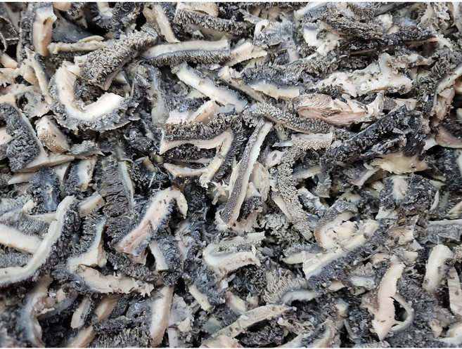 국내산 한우 2kg 삶은 손질 자숙 익힌 흑양 자른 절단 슬라이스 소흑양 우깐양 한우양 검정양, 1개