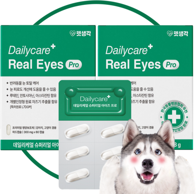 데일리케얼 아이즈 프로 반려동물 눈 건강 토탈케어 안구 증상 염증 개선 도움 임상완료, 2개, 눈물개선/눈건강, 60정