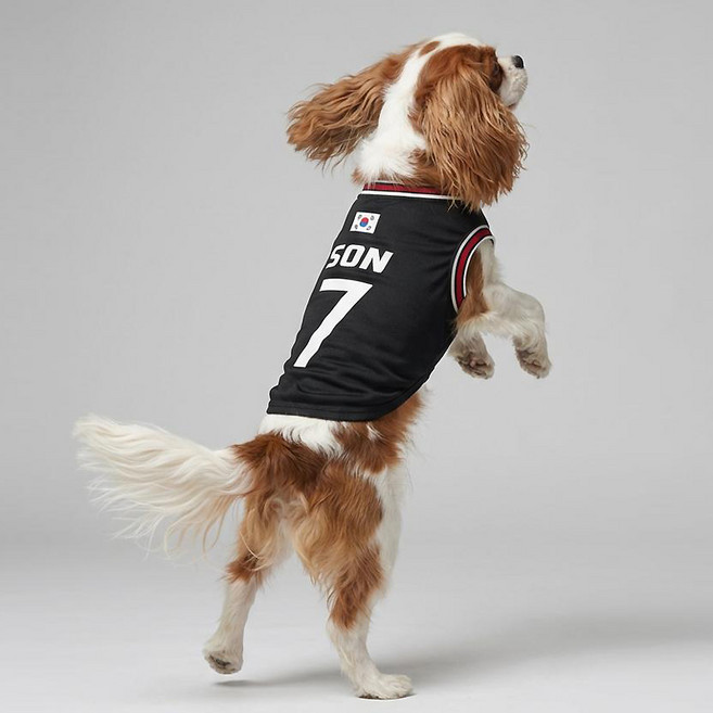 말랑마쥬 반려동물 강아지 고양이 국가대표 리그 축구 유니폼, 코리아 블랙, 1개