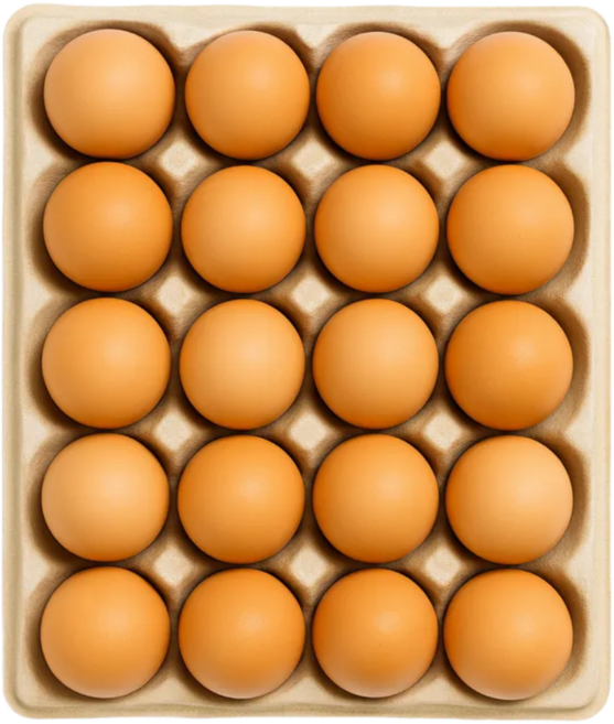 난각번호1번 계란 유정란 난각1번 HACCP 무항생제 달걀, 1개, 20구