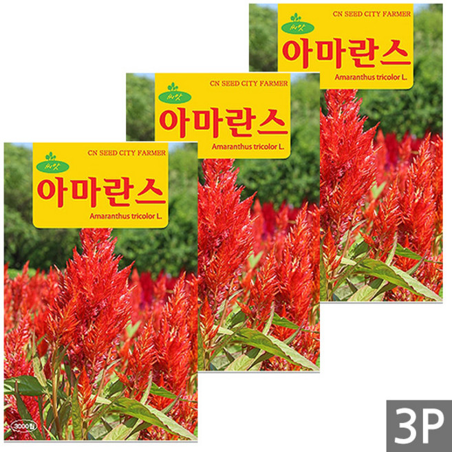 세인화분 아마란스 3000립 - 꽃씨 꽃씨앗 씨 씨앗, 3개
