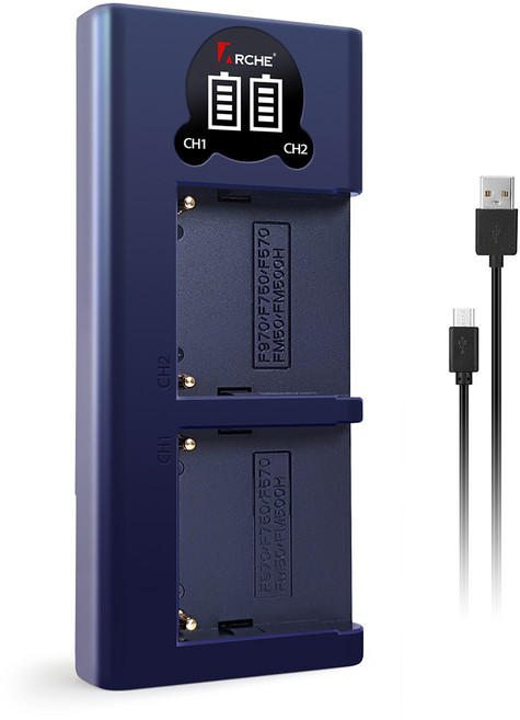 소니 NP-F550/F570 충전기 DSLR a100 a200 a290, 1개