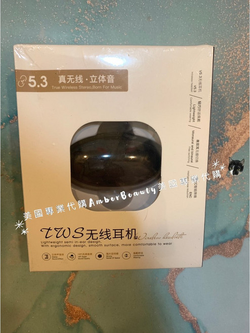 TWS 超迷你 藍芽耳機 觸控 降噪耳機 運動耳機 立體聲 HIFI音效 V5.3, X003L19BCT