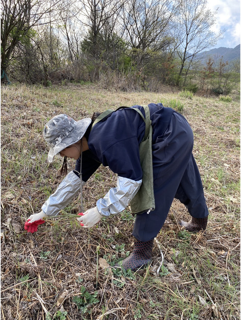산청산들애 국산 지리산 건고사리 말린고사리 고사리, 3개, 100g