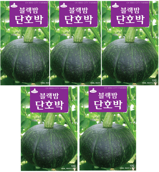 모두다 채소씨앗 블랙밤단호박씨앗(10립), 5개