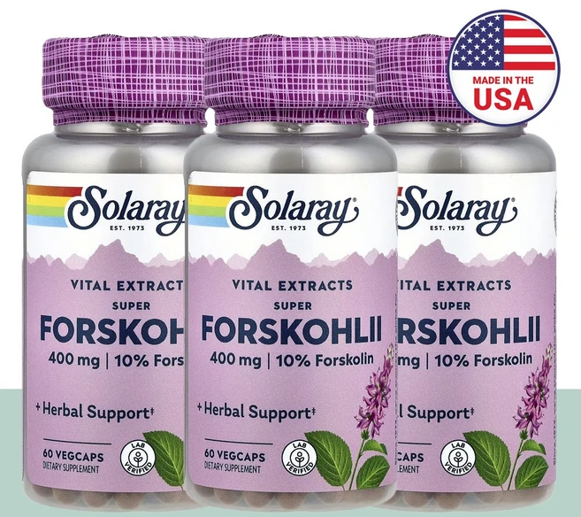 쏠라레이 아유르베다 허브 슈퍼 포스콜리 400mg 베지캡슐 60정, 3개 - 쿠팡