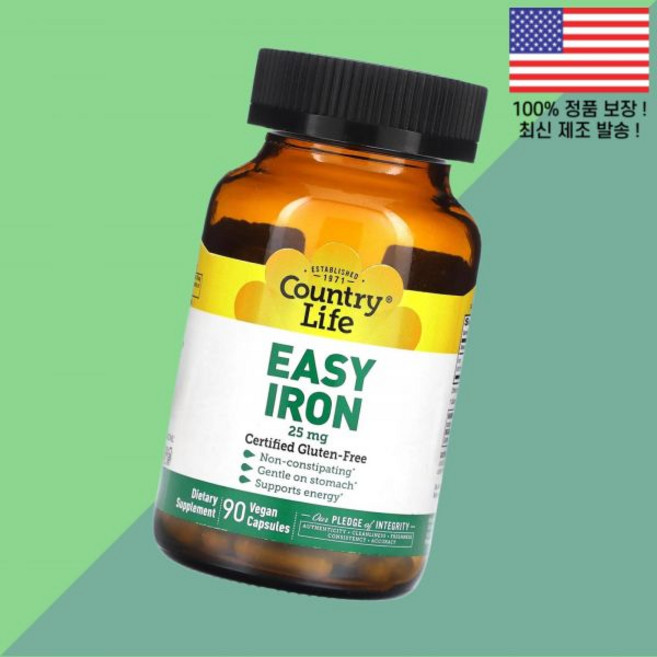 컨트리라이프 이지 아이언 25mg 식물성 베지캡슐 90정 Country Life Easy Iron 90 Vegan Capsules, 1