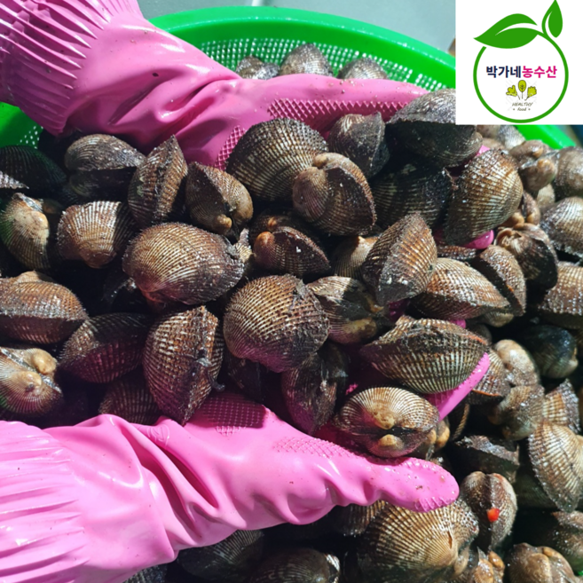 제철 피꼬막 새꼬막 피조개 특대, 1개, 통영피꼬막 3kg(50미내외)