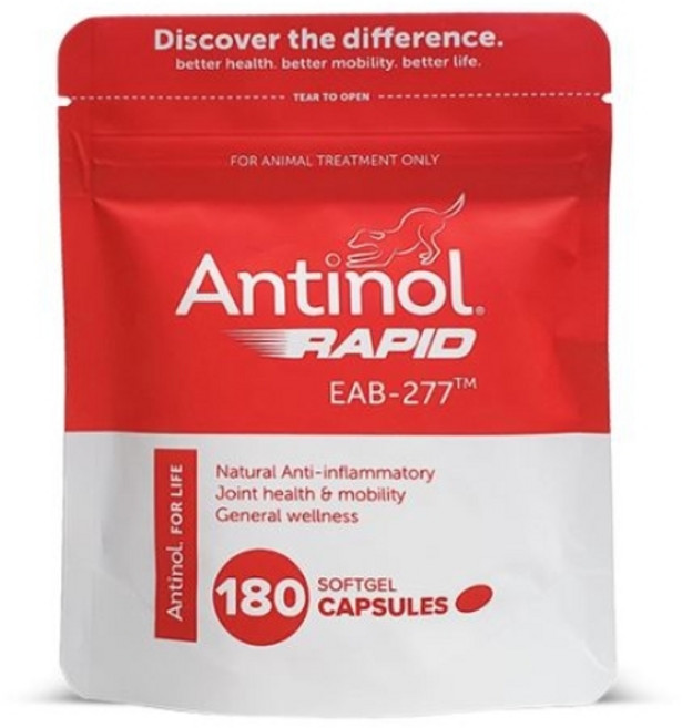 안티놀 라피드 안티놀 래피드 강아지 관절 영양제 EAB-277 180정, 뼈/관절강화, 1개
