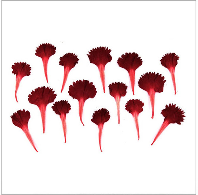 프레스코21 압화 잎/녹색잎 카네이션잎(진빨강), 1개