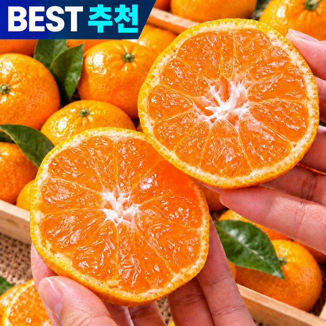 [제주직송] 고당도 타이벡 감귤 초특가, 1박스, 10kg 로얄과