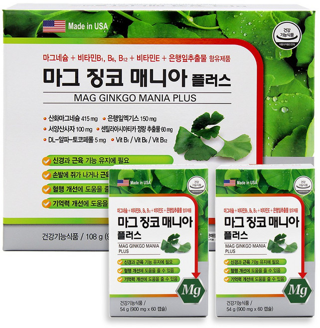 마그네슘 신경비타민 은행잎추출물함유 마그 징코 매니아 플러스 60캡슐 X 2병, 2개, 60정