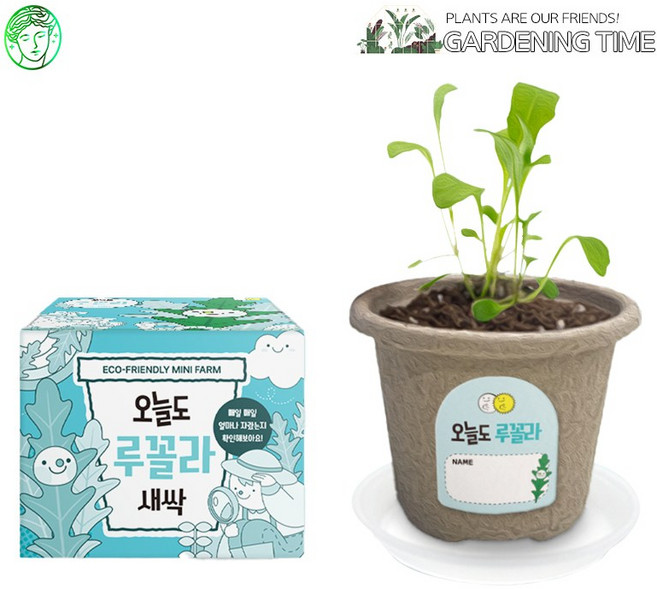 예스통상 <씨앗 식물 키우기 재배키트 50종> 모음전2 / 강낭콩키우기 토마토키우기 원예체험 텃밭가꾸기 새싹키우기, 25. 오늘도새싹 루꼴라 단품