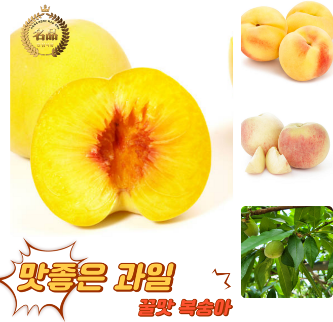 [굿피플] 고당도 천상의맛 햇복숭아 복숭아 하우스복숭아, 1박스, 털복숭아 4kg 20-26과 (딱딱이,황도,백도 랜덤)