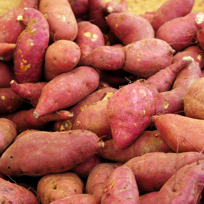 레드이츠 못난이 고구마, 1박스, 10kg