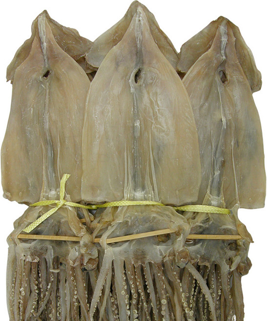 건어물천국 마른오징어 왕특대 10미 건조오징어, 1개, 1.25kg