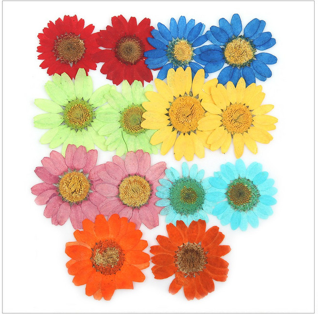 프레스코21 압화 꽃송이 마가렛 (A형 7색) 14p