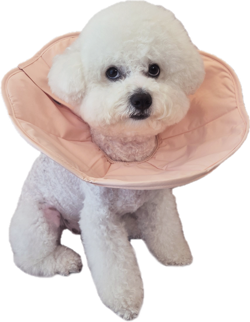 커들스피어 강아지 넥카라 반려동물 고양이 초경량 소프트 넥카라, 핑크, 1개