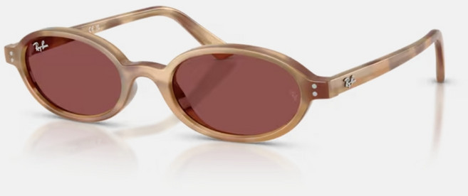 Ray-Ban雷朋 RB4472 橢圓膠框太陽眼鏡