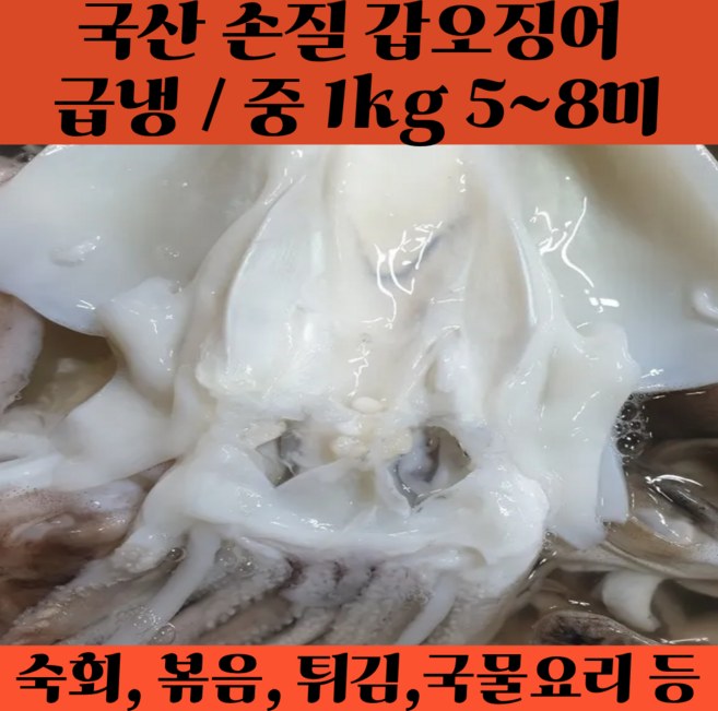 국내산 손질 갑오징어 급냉 특대 꼬마 냉동 오징어, 1박스, 중 3kg
