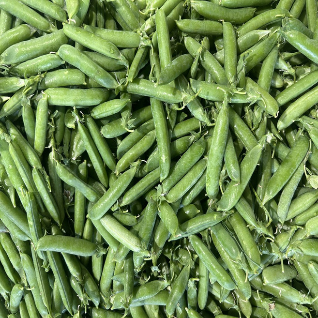 늘푸른농산 산지직송 노지재배 껍질 햇 완두콩, 3kg, 1박스
