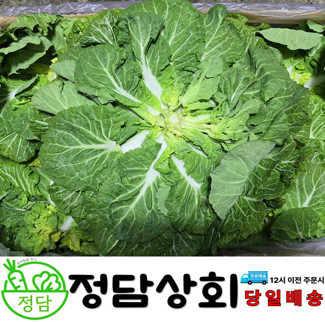 [ 정담상회 ] 국내산 봄동 봄동배추 1kg 2kg 3kg 내외, 1박스