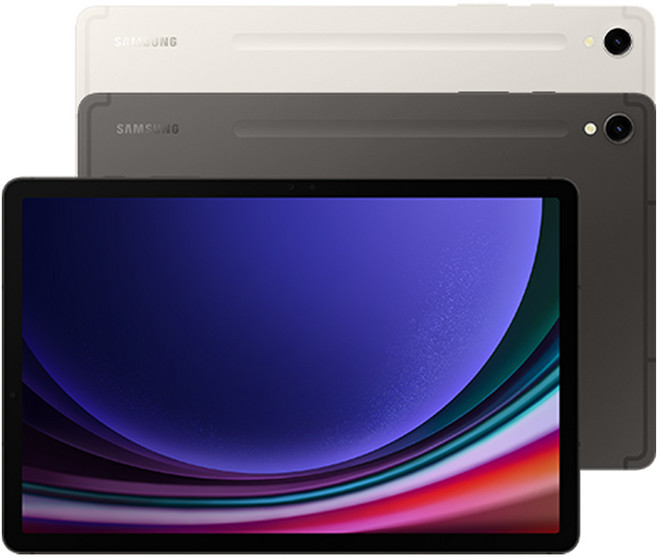 삼성전자 갤럭시탭 S9, 그라파이트, 256GB, Wi-Fi+Cellular