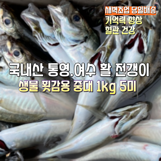 [산지직송] 국내산 통영. 여수 새벽조업 당일배송 생물 활 낚시 전갱이 각재기 아지 횟감용. 구이. 튀김. 젓갈, 1박스, 새벽조업 생물 전갱이 중대 1kg 5미(원물)