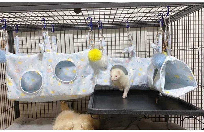 페럿 터널 케이지 걸이 장난감 은신처 동물 페릿 고양이, 1개, AG