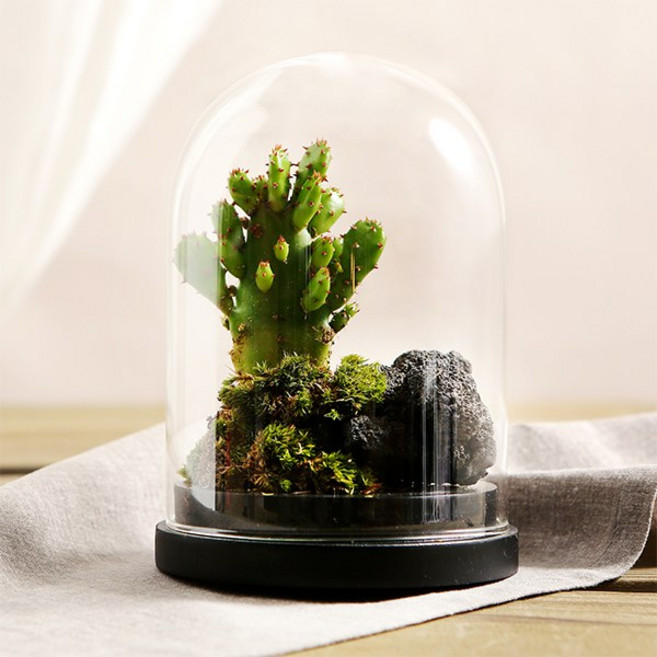 스윗 유리돔화분 테라리움 유리꽃화병 (소)