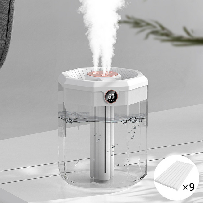 NUNUHANA 초음파식 대용량 삼공 분사스트 가습기 2L, 화이트