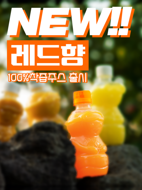 신제품 제주랑 레드향 감귤 100% 프리미엄 착즙 주스, 320ml, 20개