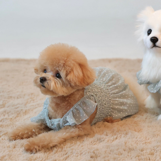 강아지올인원 도트쉬폰 해충방지옷 버그가드 진드기방지옷 S-2XL, 블루, 1개